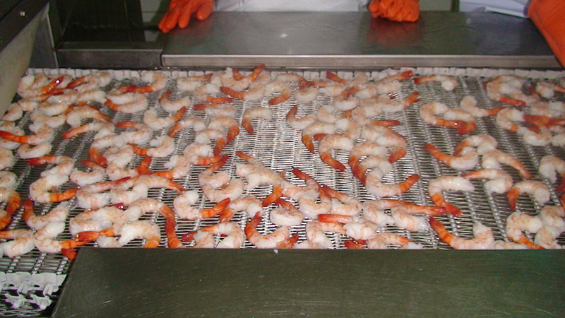 Spiral freezer and conveyor line for seafood freezing in Europe